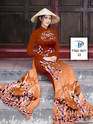 1635850377 vai ao dai dep (2)